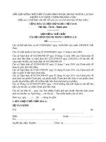 Mẫu hợp đồng thế chấp tài sản hình thành trong tương lai cho khoản vay được chính phủ bảo lãnh 