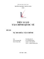 TIỂU LUẬN tài CHÍNH QUỐC tế đề tài tự DO hóa tài CHÍNH 