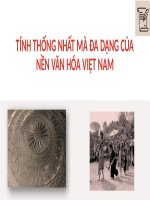 TÍNH THỐNG NHẤT mà đa DẠNG của nền văn hóa VIỆT NAM 