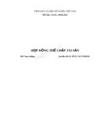 Mẫu hợp đồng thế chấp tài sản 