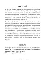 Phân tích liên minh giai cấp và tầng lớp trong thời kỳ quá độ lên CNXH  liên hệ thực tiễn việt nam 