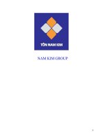 (TIỂU LUẬN) NAM KIM GROUP  nam kim steel joint stock company (trademarked “tôn nam kim”) 