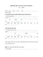 Mẫu hợp đồng bảo lãnh phát hành trái phiếuo 