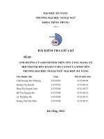 ẢNH HƯỞNG của REVIEWER TRÊN nền TẢNG MẠNG xã hội TIKTOK đến HÀNH VI MUA sắm của SINH VIÊN TRƯỜNG đại học NGOẠI NGỮ  đại học đà NẴNG 