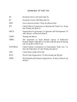 Thương mại điện tử trong thương mại quốc tế 