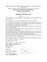 Mẫu hợp đồng thế chấp tài sản cho khoản vay được chính phủ bảo lãnh 