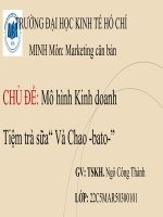 (TIỂU LUẬN) môn marketing căn bản  CHỦ đề mô hình kinh doanh tiệm trà sữa và chao bato 