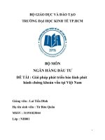 (TIỂU LUẬN) môn NGÂN HÀNG đầu tư đề tài  giải pháp phát triển bảo lãnh phát hành chứng khoán vốn tại việt nam 