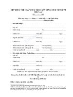 Hợp đồng thế chấp công trình xây dựng hình thành từ vốn vay (mẫu 1) 