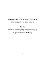 (TIỂU LUẬN) NGÀNH QUẢN TRỊ KINH DOANH đề tài văn hóa doanh nghiệp trong các công ty du lịch lữ hành ở hạ long  