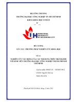 (TIỂU LUẬN) NGHIÊN cứu tác ĐỘNG của các nội DUNG TRÊN TIKTOK đối với SINH VIÊN TRƯỜNG đại học CÔNG NGHIỆP THÀNH PHỐ hồ CHÍ MINH 