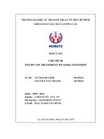 BÁO cáo CHỦ đề 08 STUDY ON TRANSIENT PLASMA IGNITION 
