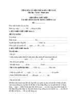 Mẫu hợp đồng thế chấp tài sản hình thành trong tương lai 