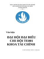 PHƯƠNG HƯỚNG HOẠT ĐỘNG CHI HỘI