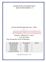 (TIỂU LUẬN) QUY LUẬT về sự PHÙ hợp của QUAN hệ sản XUẤT với TRÌNH độ PHÁT TRIỂN của lực LƯỢNG sản XUẤT  VIỆC vận DỤNG QUY LUẬT này ở VIỆT NAM HIỆN NAY 