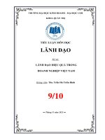 TIỂU LUẬN môn học LÃNH đạo đề tài LÃNH đạo HIỆU QUẢ TRONG DOANH NGHIỆP VIỆT NAM 