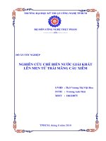 123doc vn nghien cuu che bien nuoc giai