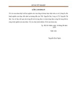 (TIỂU LUẬN) tách chiết hợp chất kháng sinh trong dịch lên men nấm trichoderma ức chế nấm neoscytalidium dimidiatum gây bệnh đốm trắng thanh long 