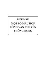 Một số mẫu hợp đồng vận chuyển thông dụng 
