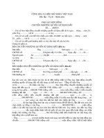 Phụ lục hợp đồng chuyển nhượng quyền sử dụng đất 