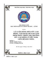 (TIỂU LUẬN) THẢO LUẬN lý LUẬN HÀNG hóa sức LAO ĐỘNG  vận DỤNG đưa RA GIẢI PHÁP PHÁT TRIỂN THỊ TRƯỜNG sức LAO ĐỘNG ở VIỆT NAM  LIÊN hệ bản THÂN  