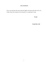 Giải pháp tăng cường công tác quản trị nguồn nhân lực tại Công ty thương mại cổ phần Long Thịnh.