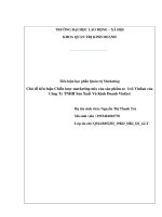 Tiểu luận Quản trị Marketing: Chiến lược marketing - mix của sản phẩm xe  ô tô Vinfast của Công ty TNHH Sản xuất và kinh doanh Vinfast