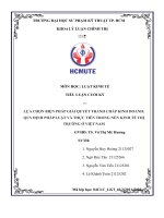 LỰA CHỌN BIỆN PHÁP GIẢI QUYẾT TRANH CHẤP KINH DOANH QUY ĐỊNH PHÁP LUẬT và THỰC TIỄN TRONG nền KINH tế THỊ TRƯỜNG ở VIỆT NAM 