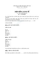 Mẫu hợp đồng kinh tế về việc vận chuyển hàng hóao 