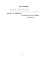 (Luận văn thạc sĩ) Nghiên cứu vai trò của Cation kiềm đến cường độ của vữa Geopolymer