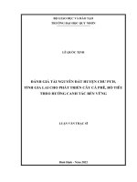 Đánh giá tài nguyên đất huyện chư pưh, tỉnh gia lai cho phát triển cây cà phê, hồ tiêu theo hướng canh tác bền vững 