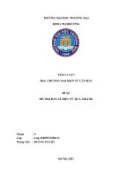 (TIỂU LUẬN) THẢO LUẬN môn THƯƠNG mại điện tử căn bản đề tài hỗ TRỢ bán lẻ điện tử QUA TIKTOK 
