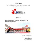 (TIỂU LUẬN) phân tích công việc tiếp viên hàng không của công ty cổ phần hàng không vietjet vietjet air)  