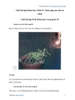 Khoa học lớp 4 bài 47 ánh sáng cần cho sự sốnggiải bài tập khoa học lớp 4 trang 94 