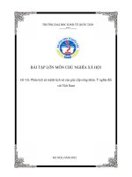 BÀI tập lớn môn CHỦ NGHĨA xã hội đề tài phân tích sứ mệnh lịch sử của giai cấp công nhân  ý nghĩa đối với việt nam 