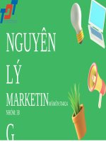 (TIỂU LUẬN) tiểu luận các LOẠI KHÁCH HÀNG TRONG môi TRƯỜNG MARKETING  ví dụ MINH họa đến DOANH NGHIỆP THỰC tế 