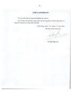 (Luận văn thạc sĩ) Phát triển hạ tầng giao thông vận tải đường bộ đáp ứng nhu cầu phát triển Kinh tế  Xã hội các huyện phía đông, tỉnh Tiền Giang