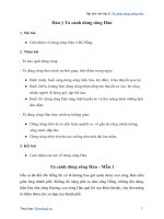 Tập làm văn lớp 5 tả cảnh dòng sông hàn (dàn ý + 11 mẫu)bài văn tả sông hàn (đà nẵng) 