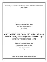 (TIỂU LUẬN) TIỂU LUẬN các TRƯỜNG hợp CHẤM dứt HIỆU lực văn BẰNG bảo hộ NHÃN HIỆU THEO PHÁP LUẬT sở hữu TRÍ TUỆ VIỆT NAM 
