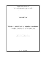 Luận văn thạc sĩ HUS nghiên cứu chế tạo vật liệu perovskite định hướng ứng dụng làm điện cực cho pin nhiên liệu  