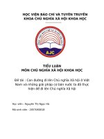 Con đường đi lên chủ nghĩa xã hội ở việt nam và những giải pháp cơ bản nước ta đã thực hiện để đi lên chủ nghĩa xã hội 