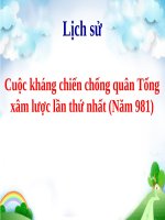 Cuộc kháng chiến chống quân Tống xâm lược lần thứ nhất (Năm 981)