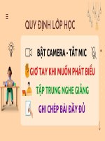 CHỦ ĐỀ: NƯỚC ĐẠI VIỆT DƯỚI THỜI TRẦN