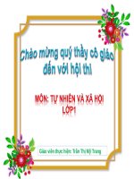 Tự nhiên xã hội GIA ĐÌNH