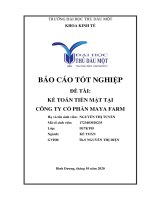 (Khóa luận tốt nghiệp) Kế toán vốn bằng tiền mặt tại Công ty Cổ phần Maya Farm