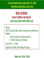 BÀI GIẢNG HOẠT ĐỘNG ÂM NHẠC Lĩnh vực phát triển thẩm mỹ