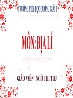 Địa lí Bài 8: Dân số nước ta