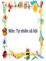 Tự nhiên xã hội Cuộc sớng xung quanh