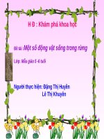 Một số động vật sống trong rừng