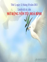 Luyện từ và câu MỞ RỘNG VỐN TỪ: HOÀ BÌNH